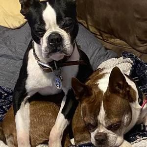 Meet your Posher, Heidi